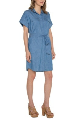 Chambray Dress