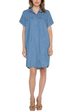 Chambray Dress