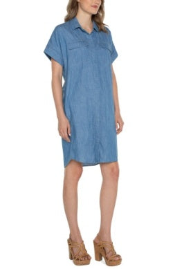 Chambray Dress