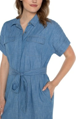 Chambray Dress